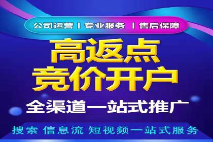 金融行业SEM推广的挑战与机遇